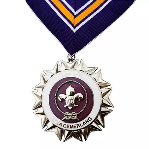 Military Medals with Ribbon